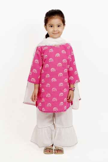 Pink Elephant Block Print Sharara Set of 3