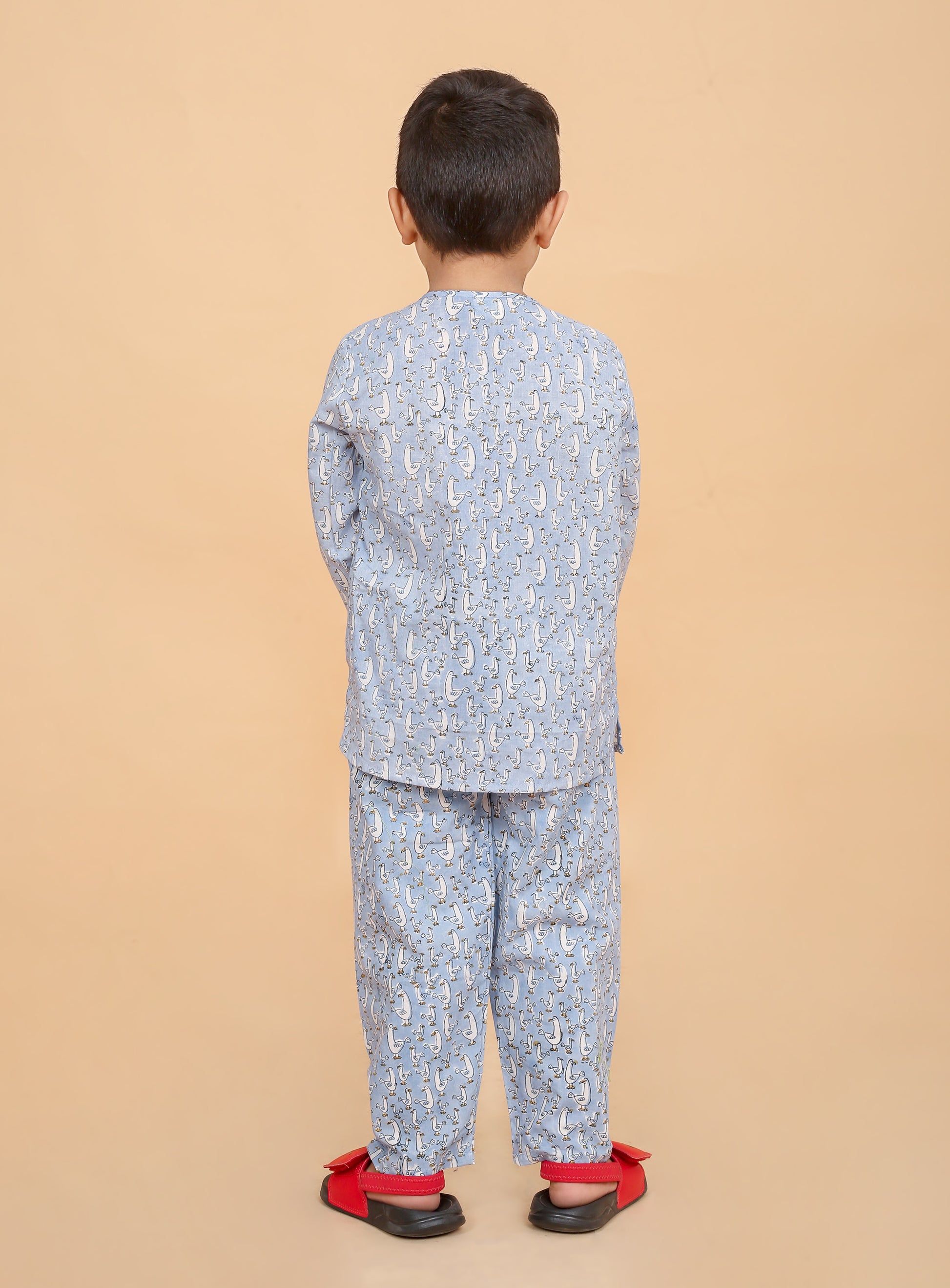 Boys pure cotton nightwear with duck print hand block design - back view
