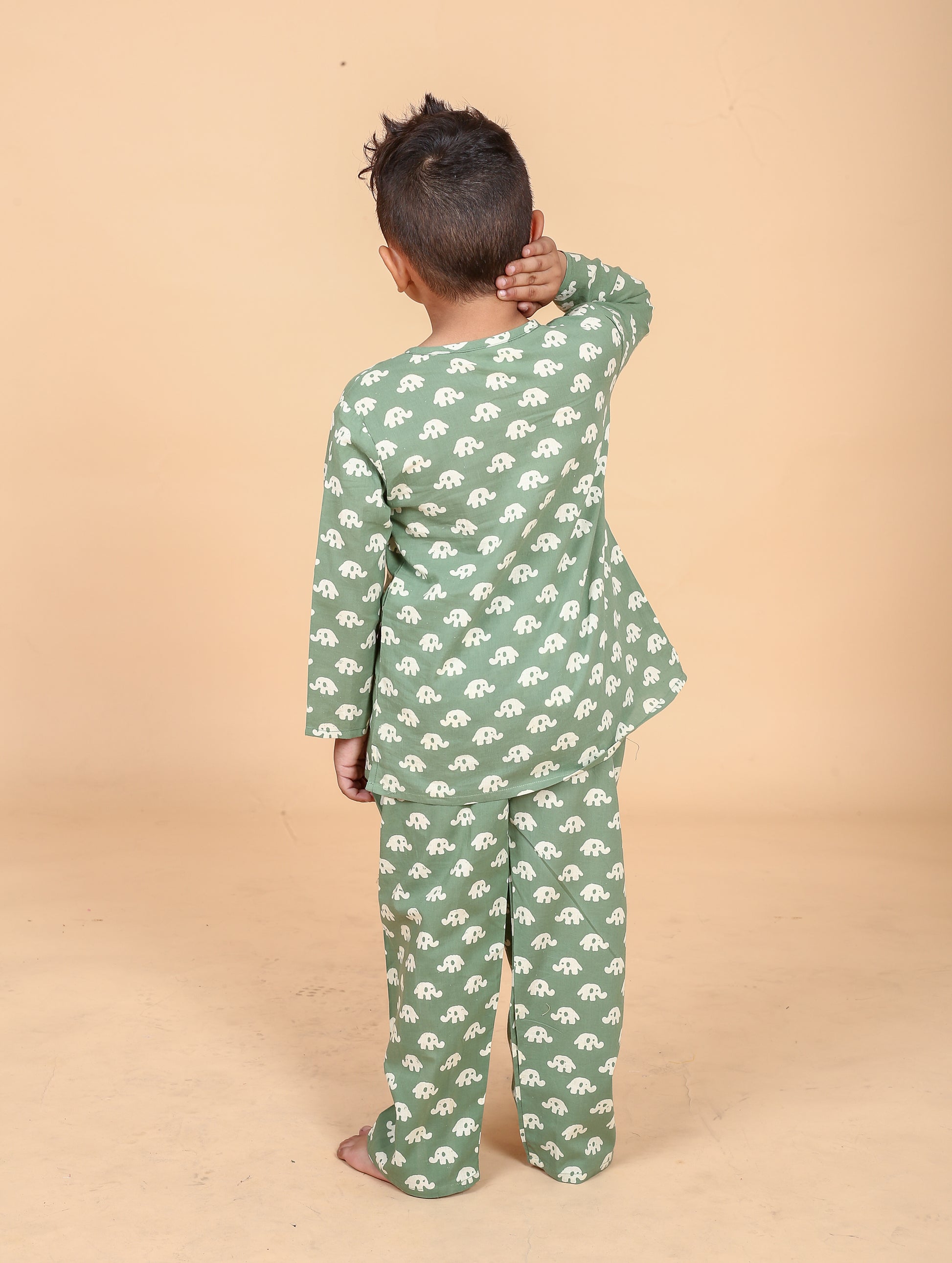 Green elephant hand block printed pure cotton pajama set for boys back-Chheent Jaipur