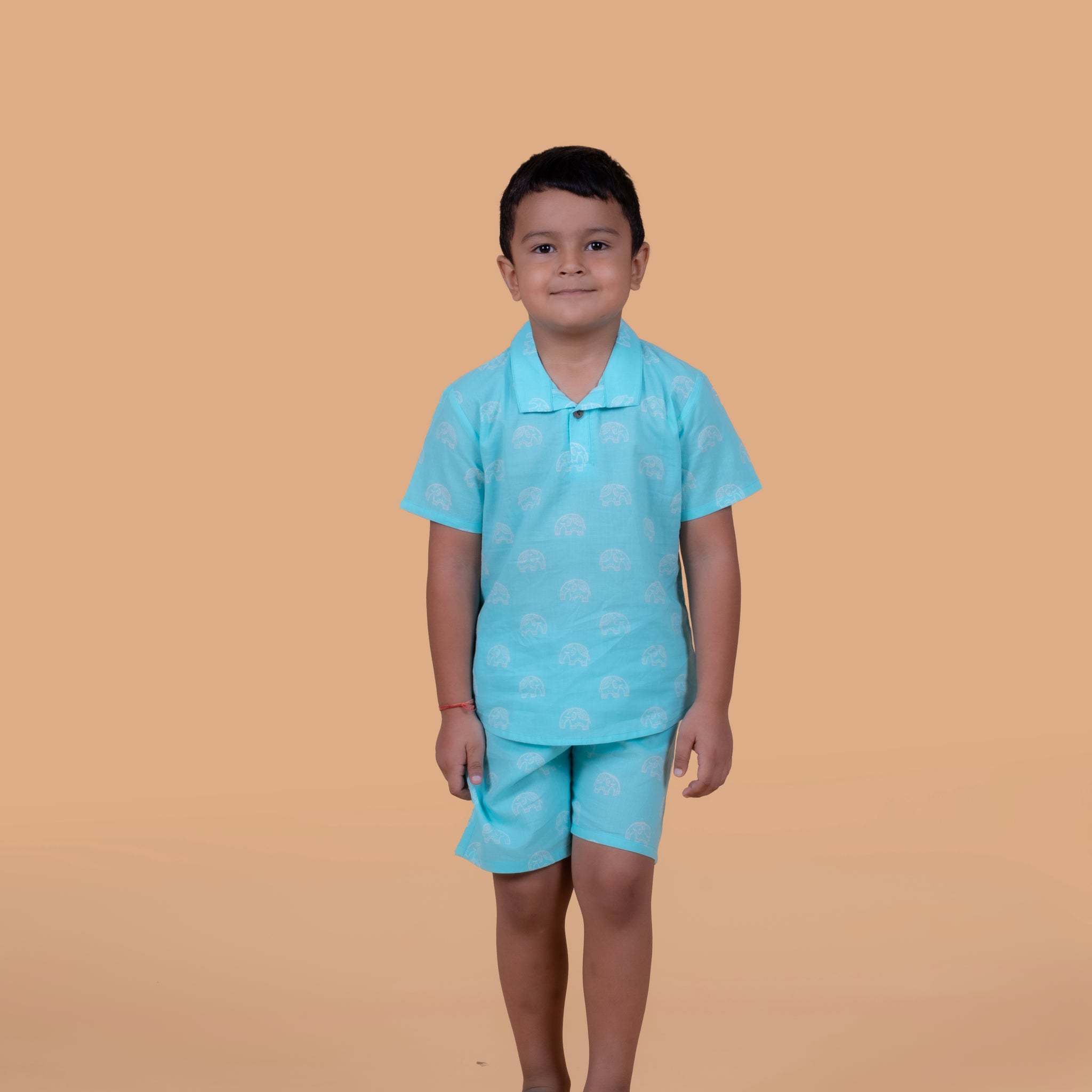 Turquoise Elephant  Shorts and Top set for Boys