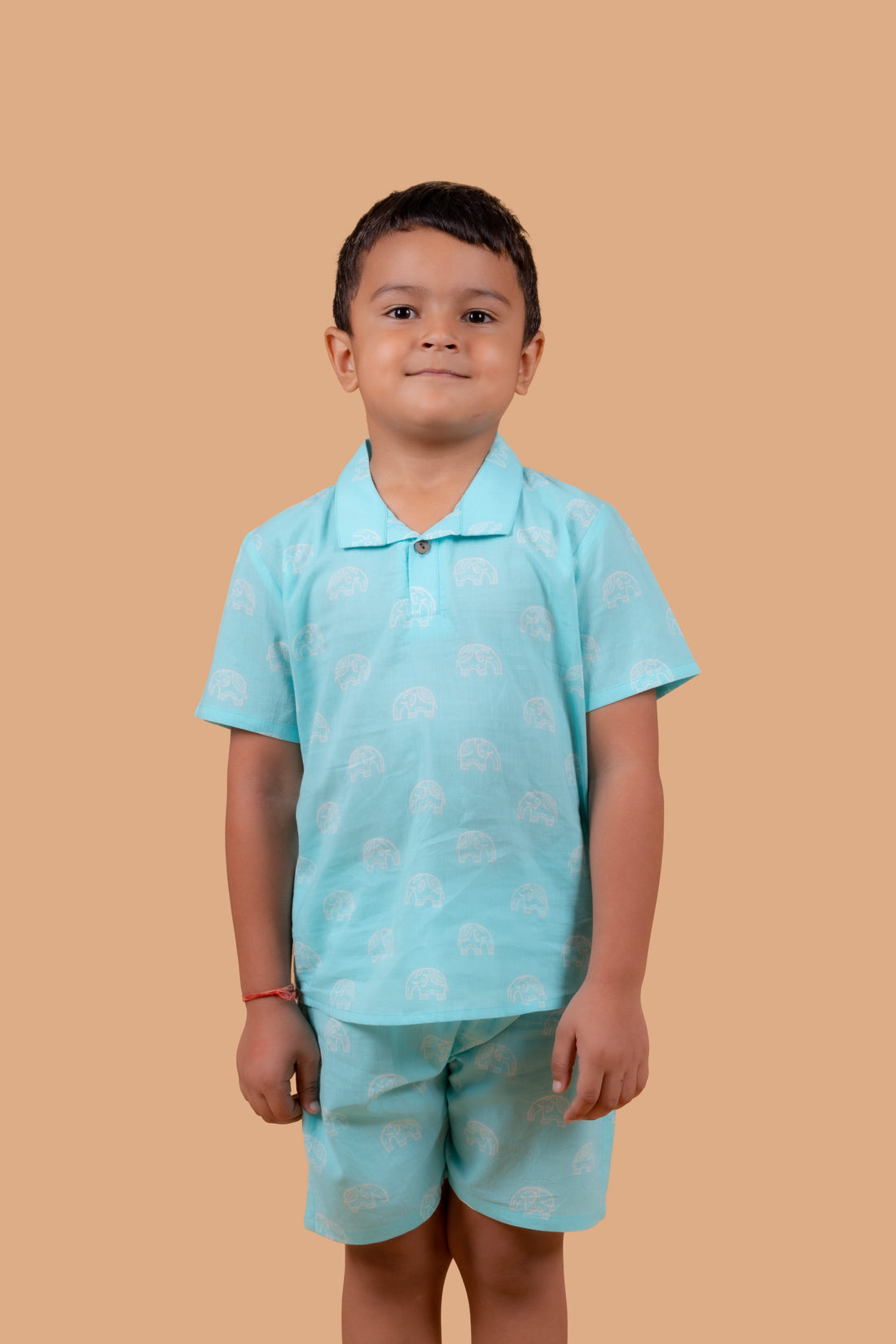 Turquoise Elephant  Shorts and Top set for Boys